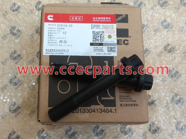 CCEC 219153 Screw