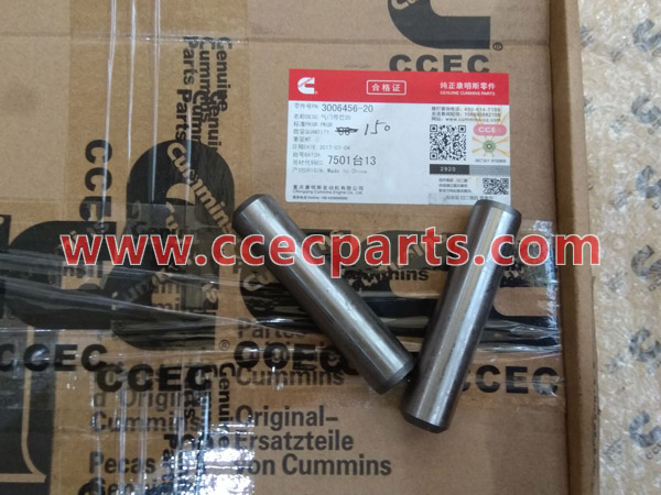 cceco 3006456 Руководство Шток клапана