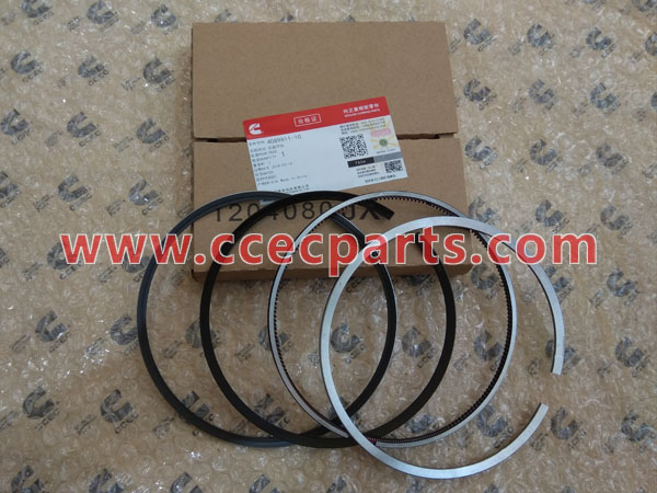 cceco 4089811 Ensemble des segments de piston