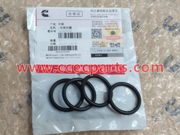 CCEC 109080 O-Ring Seal