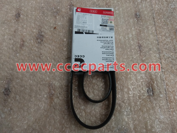 CCEC 3028521 Alternator V Ribbed Belt