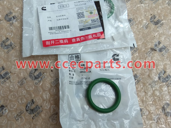 CCEC 3892095 O-Ring Seal