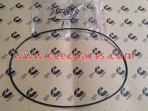 cceco 3000859 K19 فان محور O-حلقة الختم