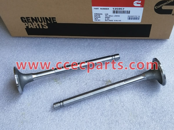 CCEC 135957 NTA855 Intake Valve