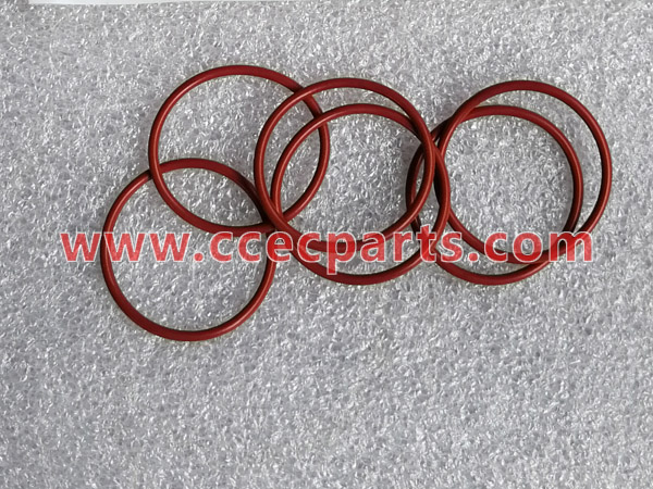 CCEC 193736 O-Ring Seal NTA855 inyector